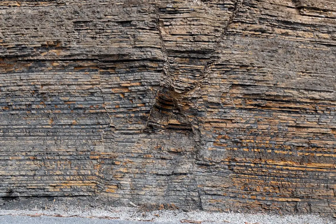 A coastal cliff face showing many thin horizontal bands of sedimentary rock stacked one above another.