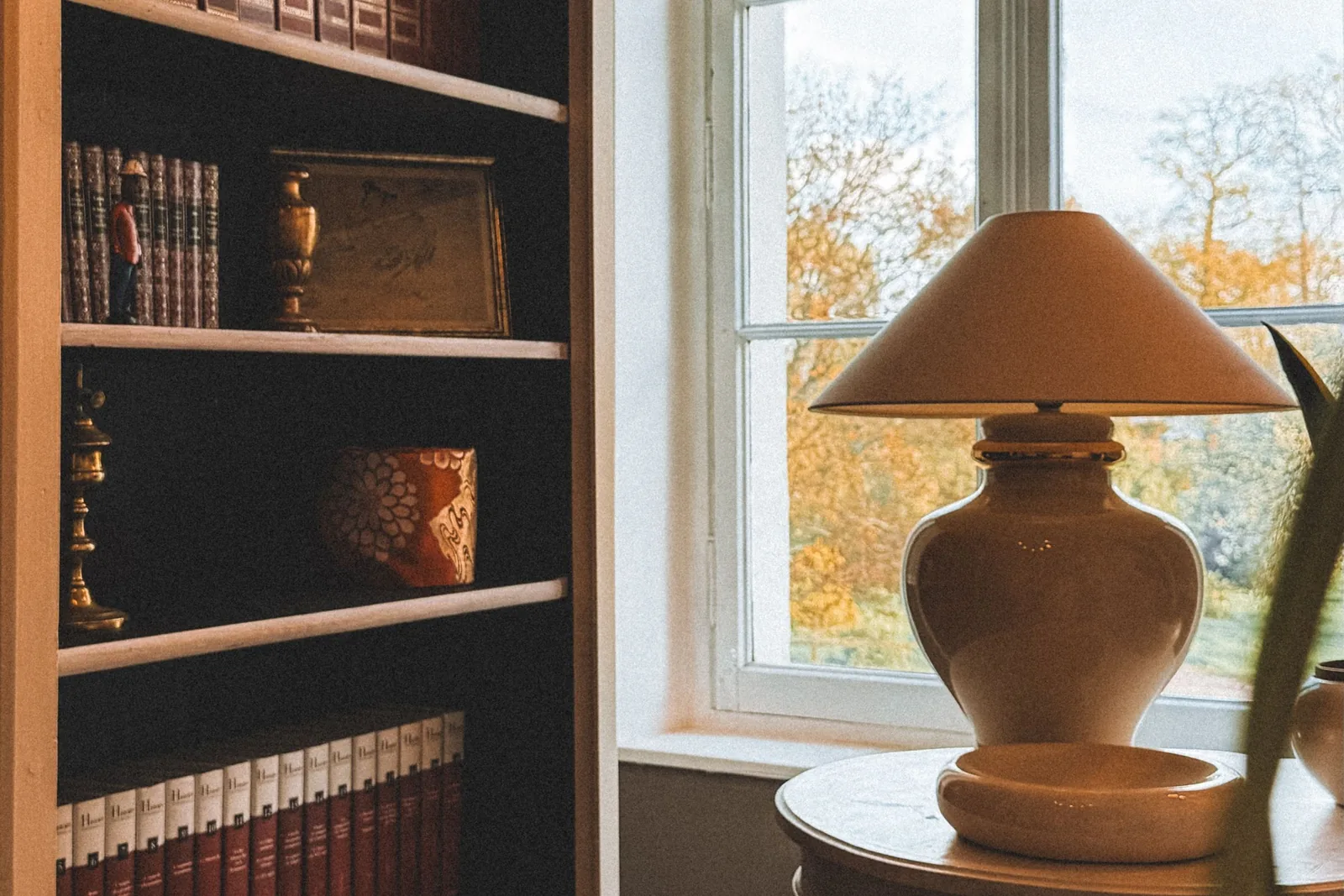 A study interior with shelves of bound books beside a tall window, and a table lamp on a small side table in daylight.