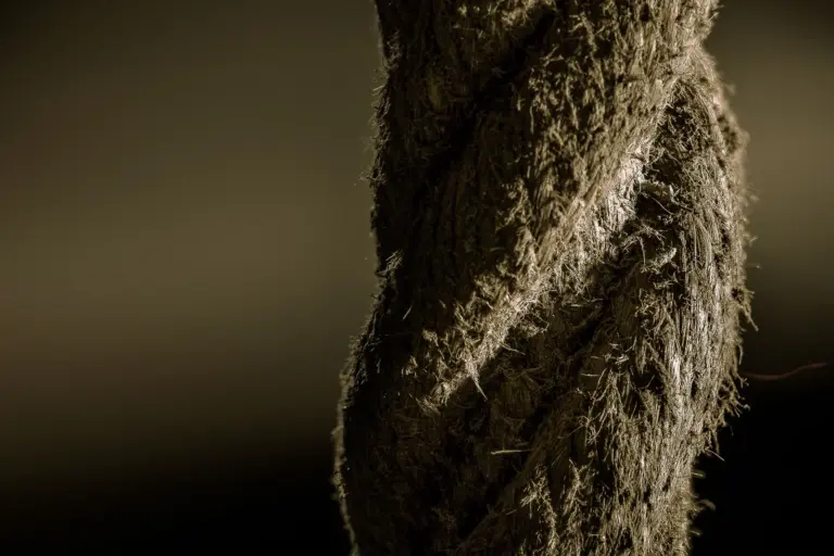 A single thick hemp rope runs the full height of the frame, lit from one side against a dark background.