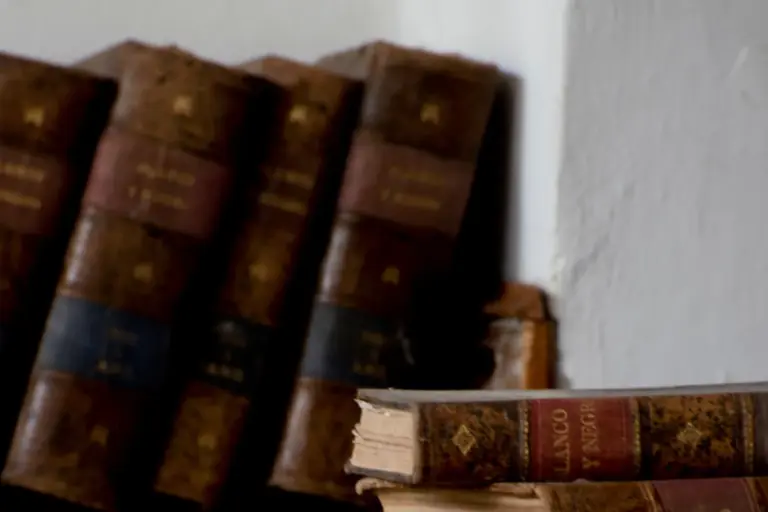 Leather-bound books standing on a shelf beside a stack of older volumes.