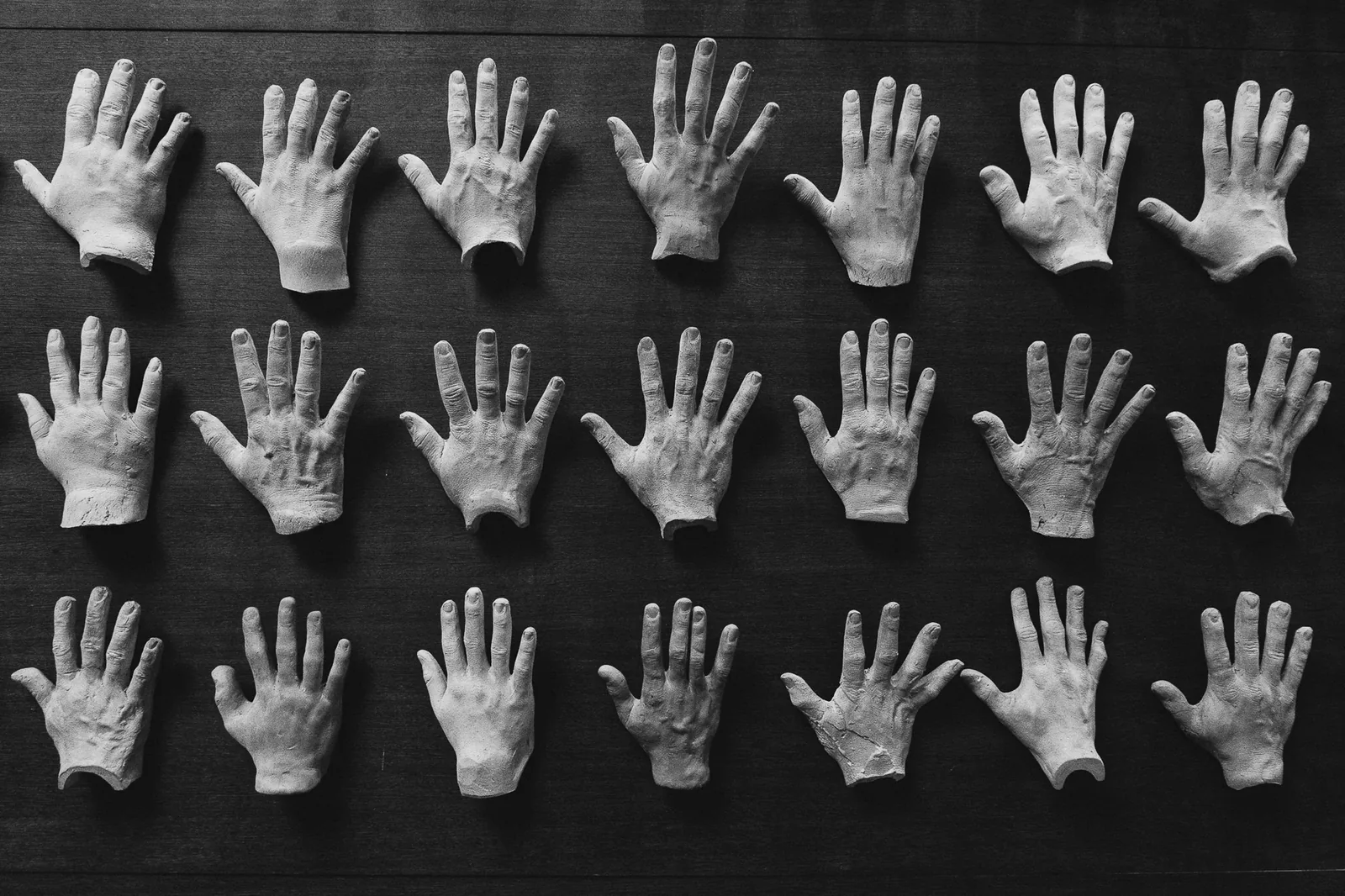 Rows of identical white plaster hand casts arranged in a grid on a dark board.