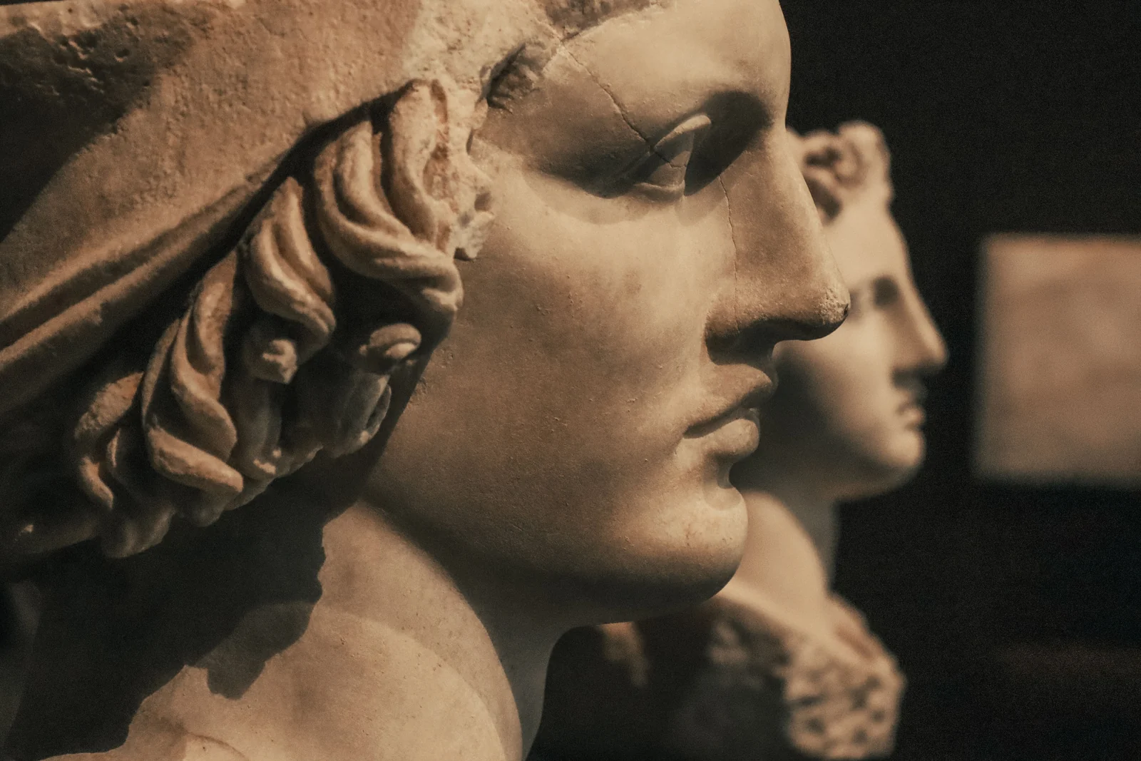 Two classical marble portrait busts standing side by side in the low light of a museum display.