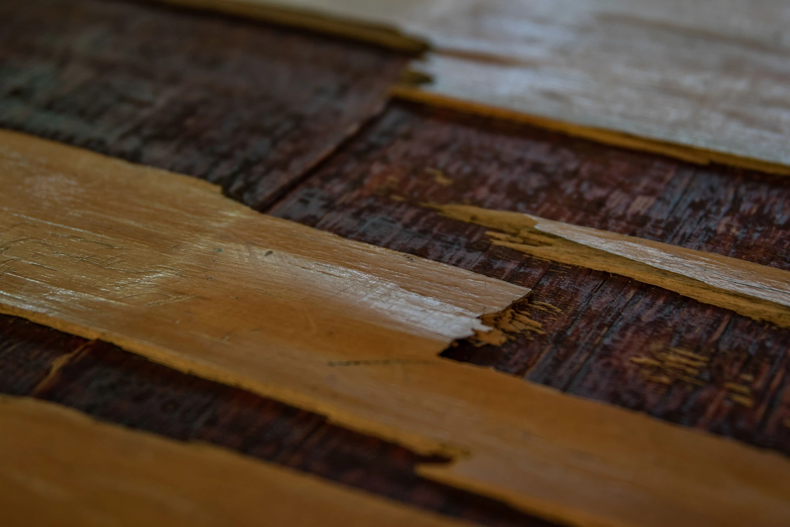 A run of parallel wooden floorboards interrupted by one splintered broken board end lifting away from the floor.