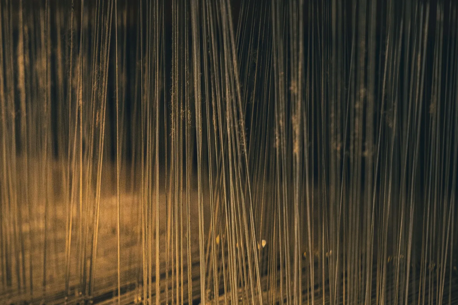 Dense parallel warp threads stretched under tension across a traditional weaving loom, lit warmly against a dark background.