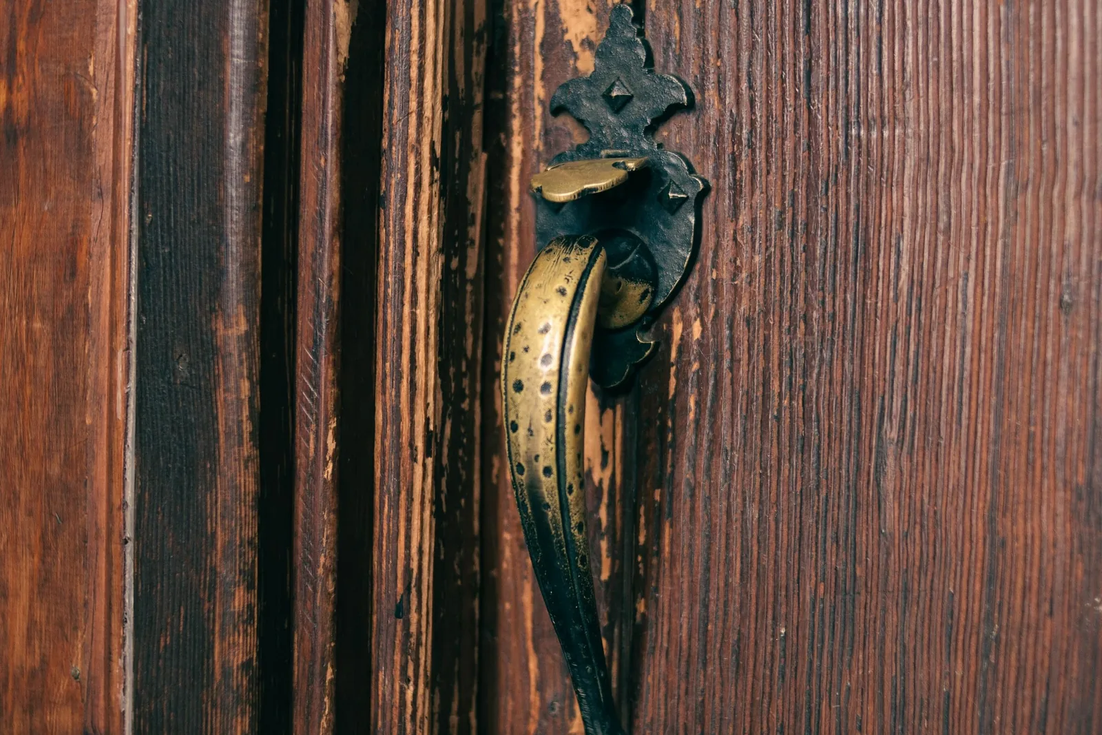 An ornate weathered metal handle on a dark wooden door, close crop showing the grain and patina.