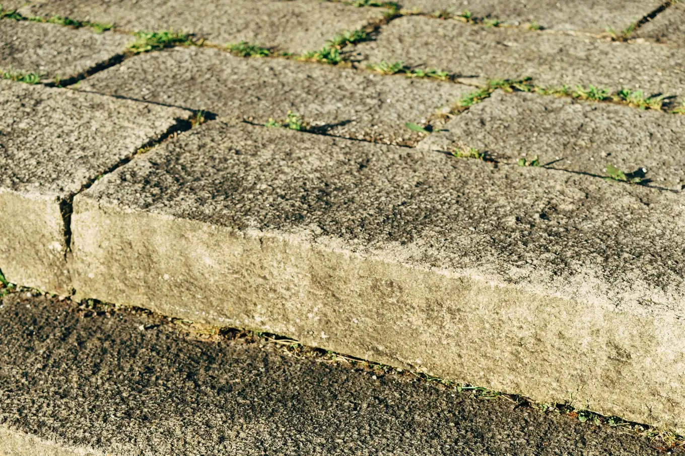 A worn limestone step and cracked paving slabs in raking sunlight, with moss growing in the joints.