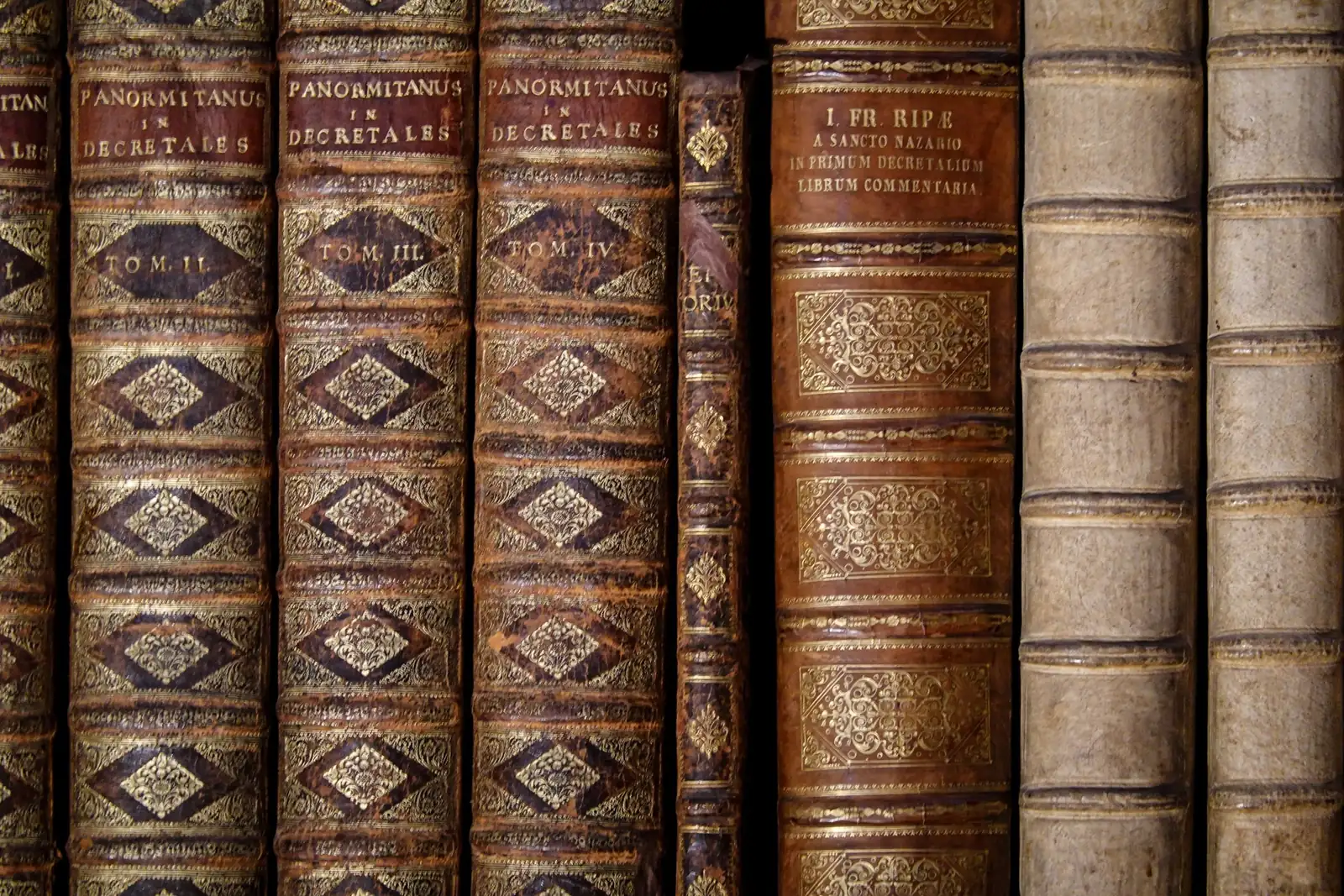 A row of leather-bound books seen from the side, their spines tooled in gold and ribbed with raised bands.