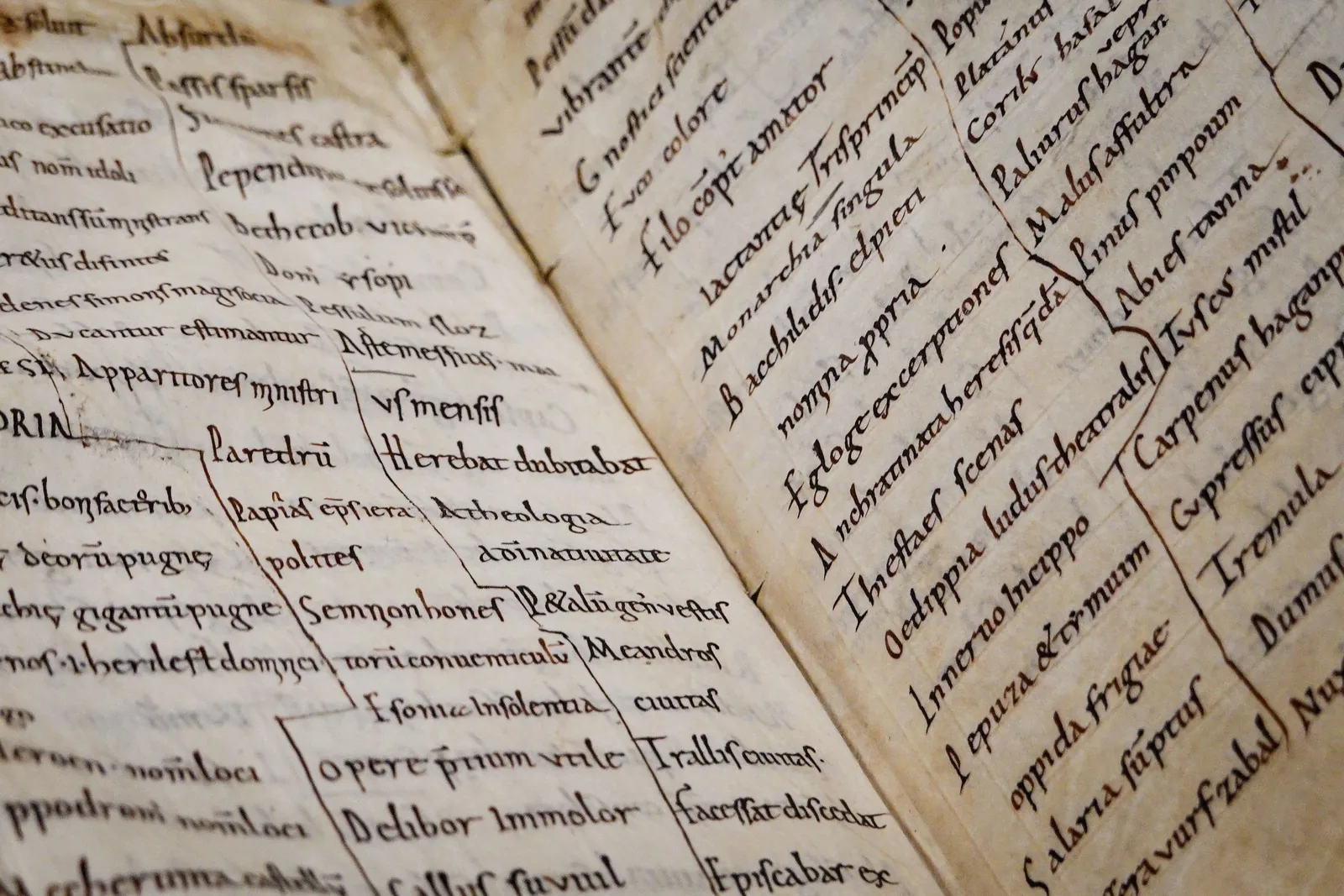 An open antique manuscript showing two pages of handwritten entries ruled into narrow columns on aged paper.