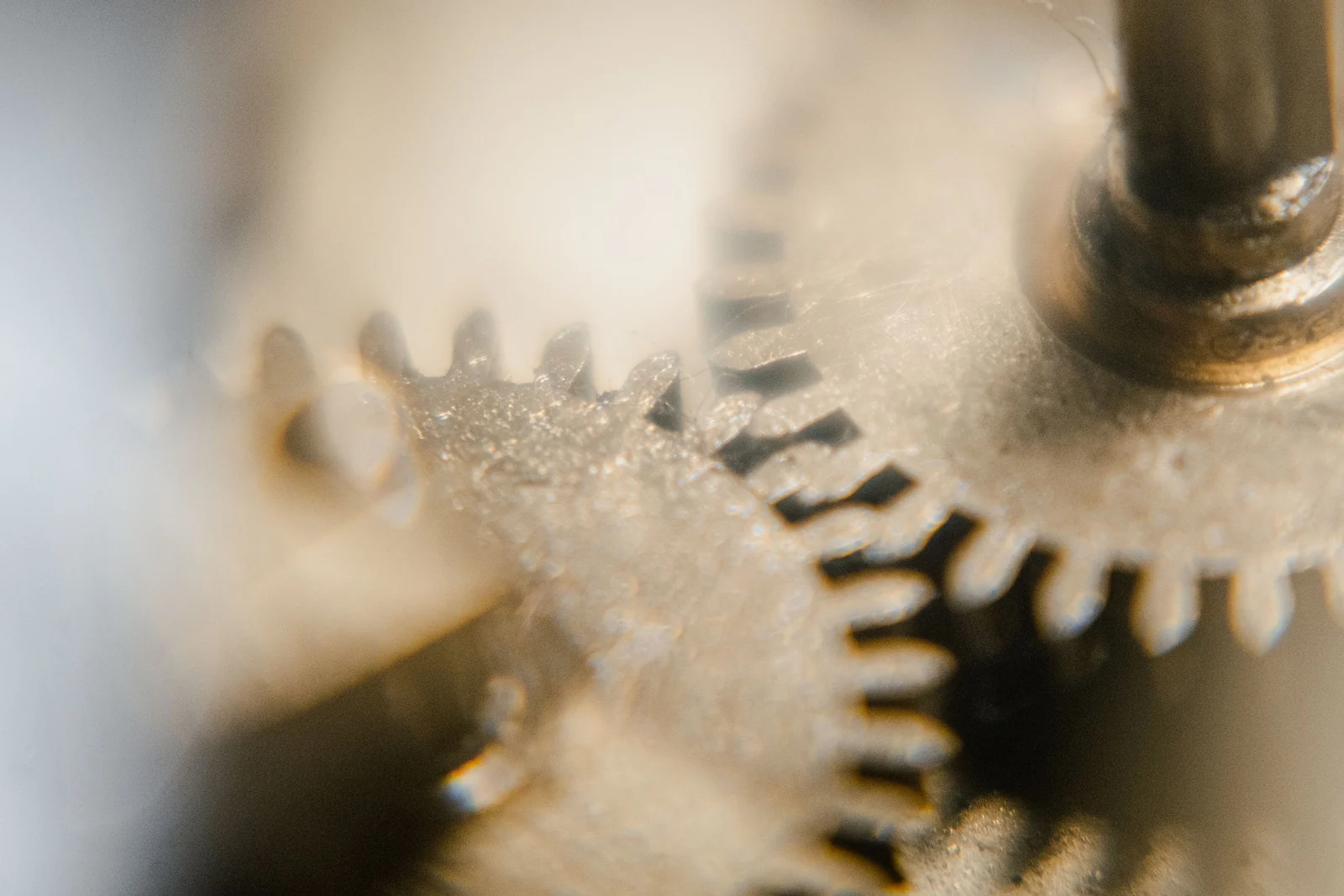 A close-up of two brass gear wheels meshing on a spindle inside a clock movement, with the background thrown out of focus.