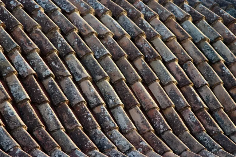 Courses of aged clay roof tiles running in even repeating rows across a steep roof.