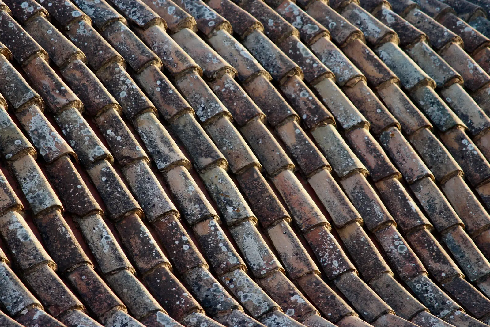 Courses of aged clay roof tiles running in even repeating rows across a steep roof.
