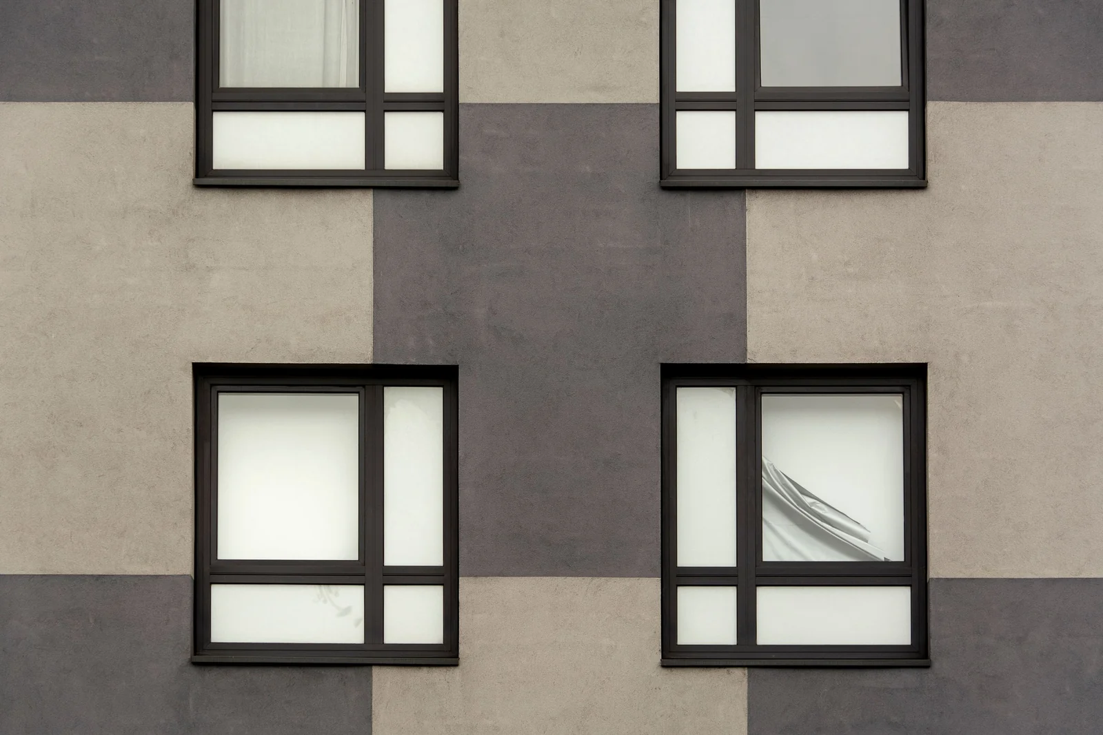 Four dark-framed windows on a two-tone facade, set in a strict grid.